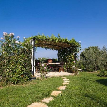 Rade Stancijeta Apartments Novigrad Istria Esterno foto