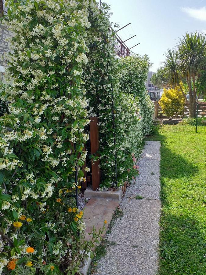 Rade Stancijeta Apartments Novigrad Istria Esterno foto