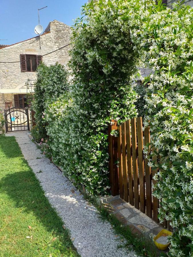 Rade Stancijeta Apartments Novigrad Istria Esterno foto